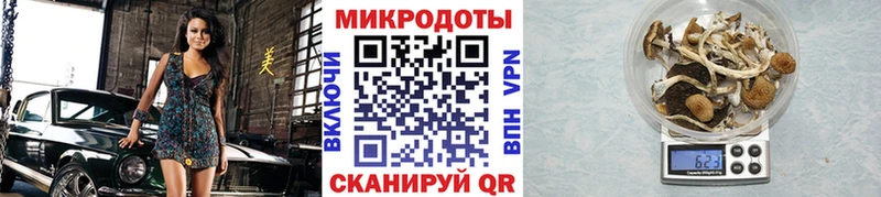 Псилоцибиновые грибы Cubensis  как найти   Рыльск 